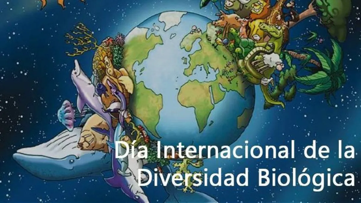 Día Internacional de la Diversidad Biológica ¿Por qué se celebra?