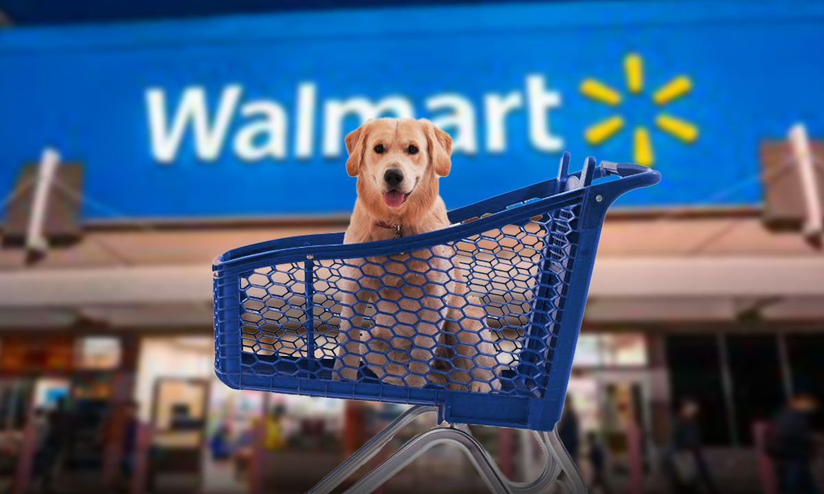 Walmart incursiona en un nuevo sector y abre “consultorios” para perros y gatos