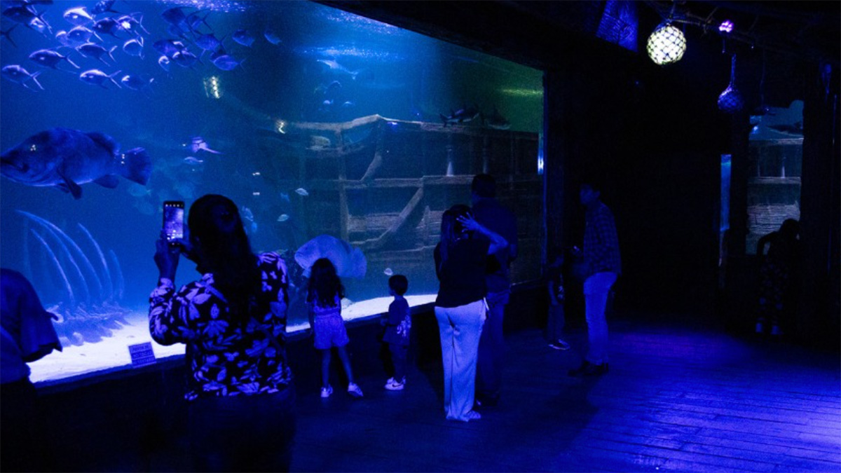 Sealand, el acuario interactivo llegará a Monterrey este 2024
